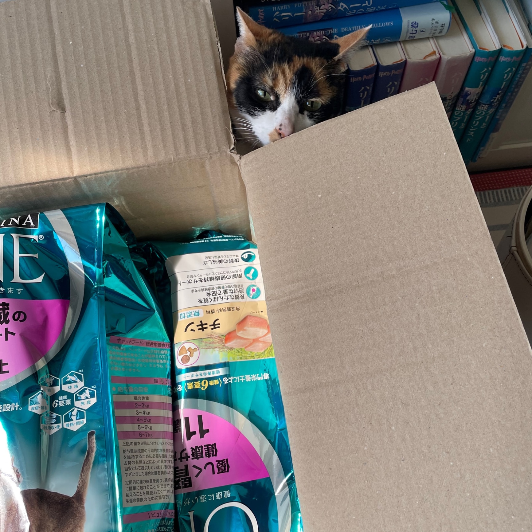 即出荷 ピュリナワン キャット 優しく腎臓の健康サポート 11歳以上 チキン 2.2kg 6コセット キャットフード