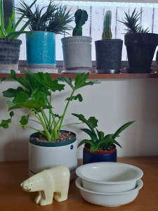 ROOM : 検索結果