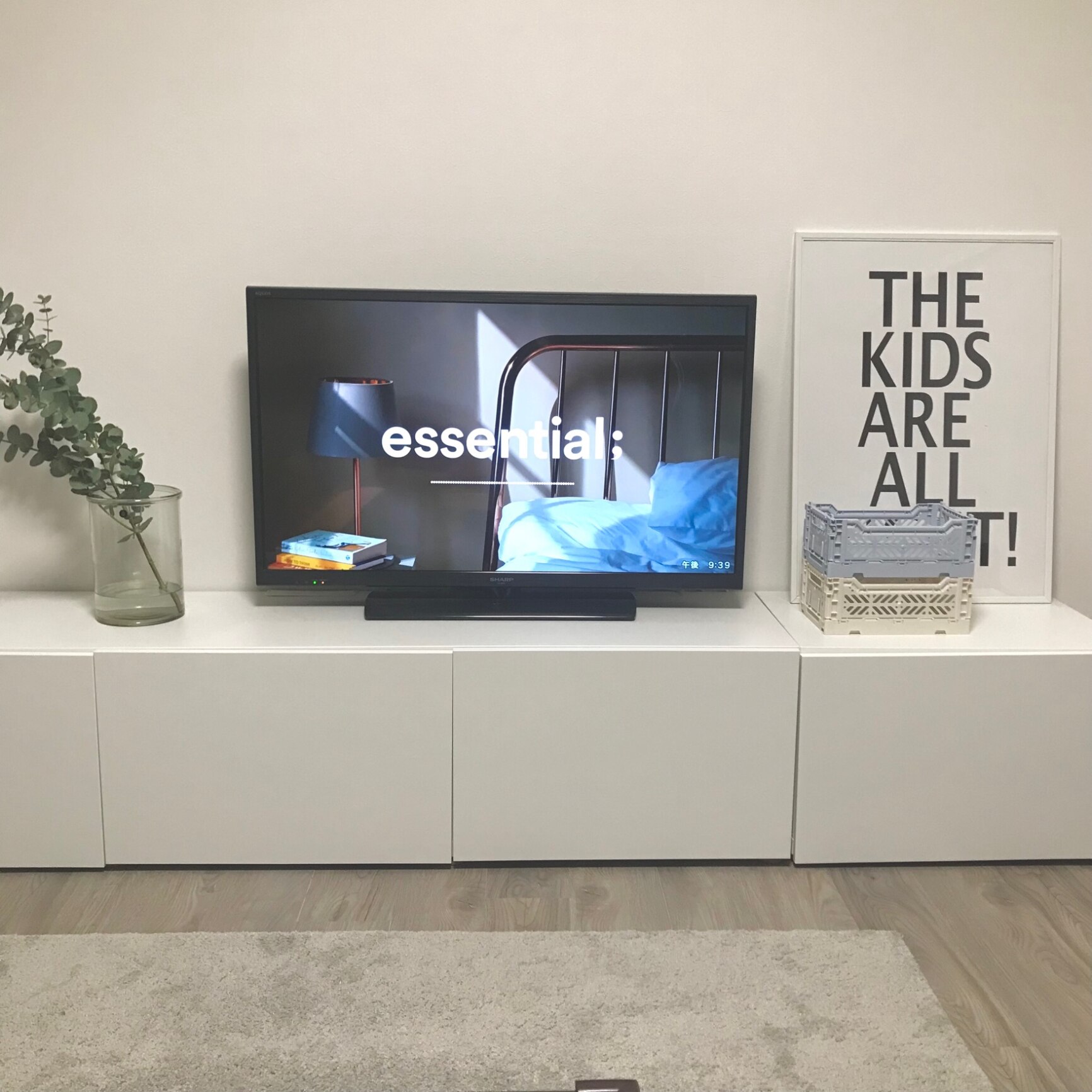 IKEA/イケア/通販]BESTA ベストー テレビ台 扉付き, ホワイト/セルス 