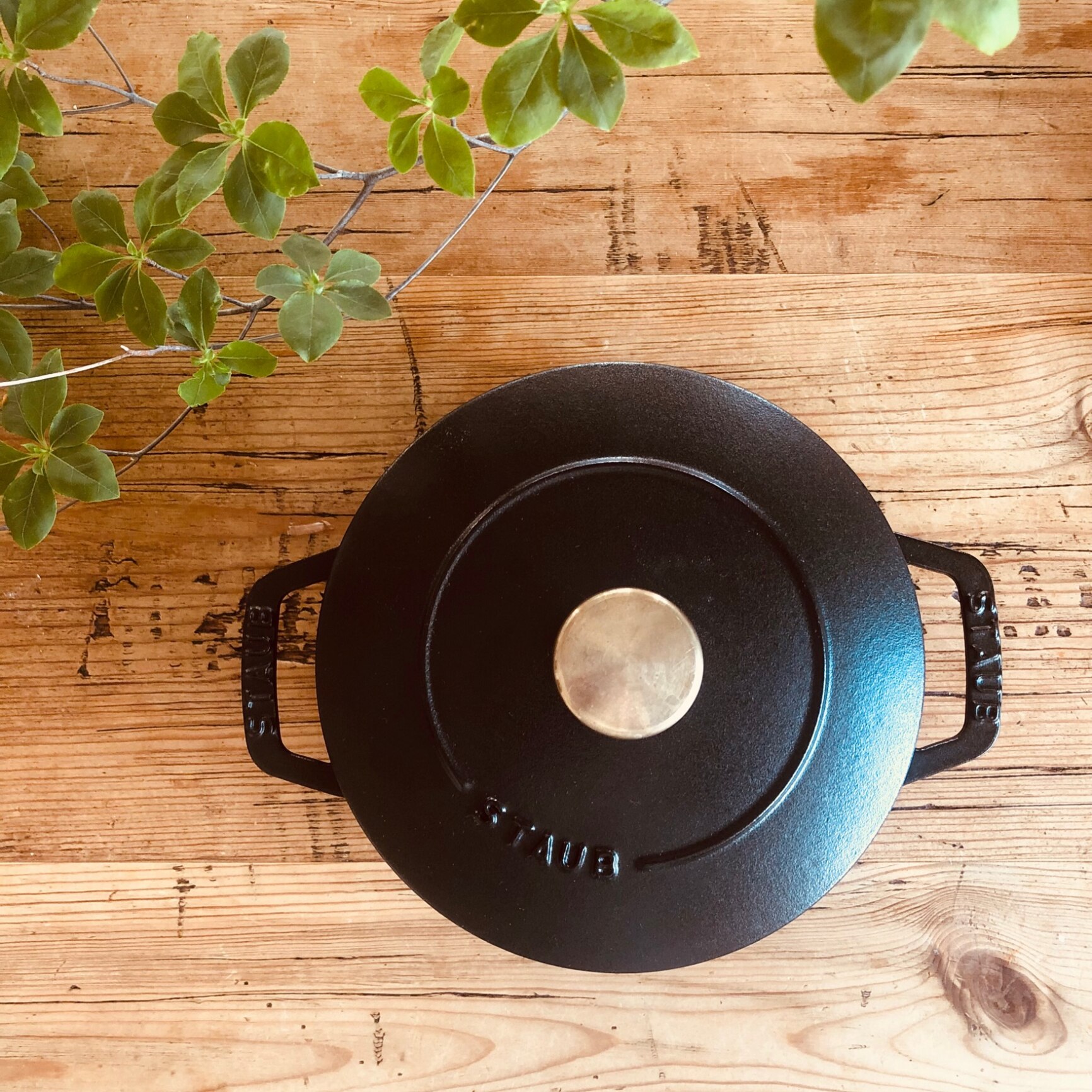 生涯保証】【日本正規品】Staub ストウブ Wa-NABE ワナベ S サイズ