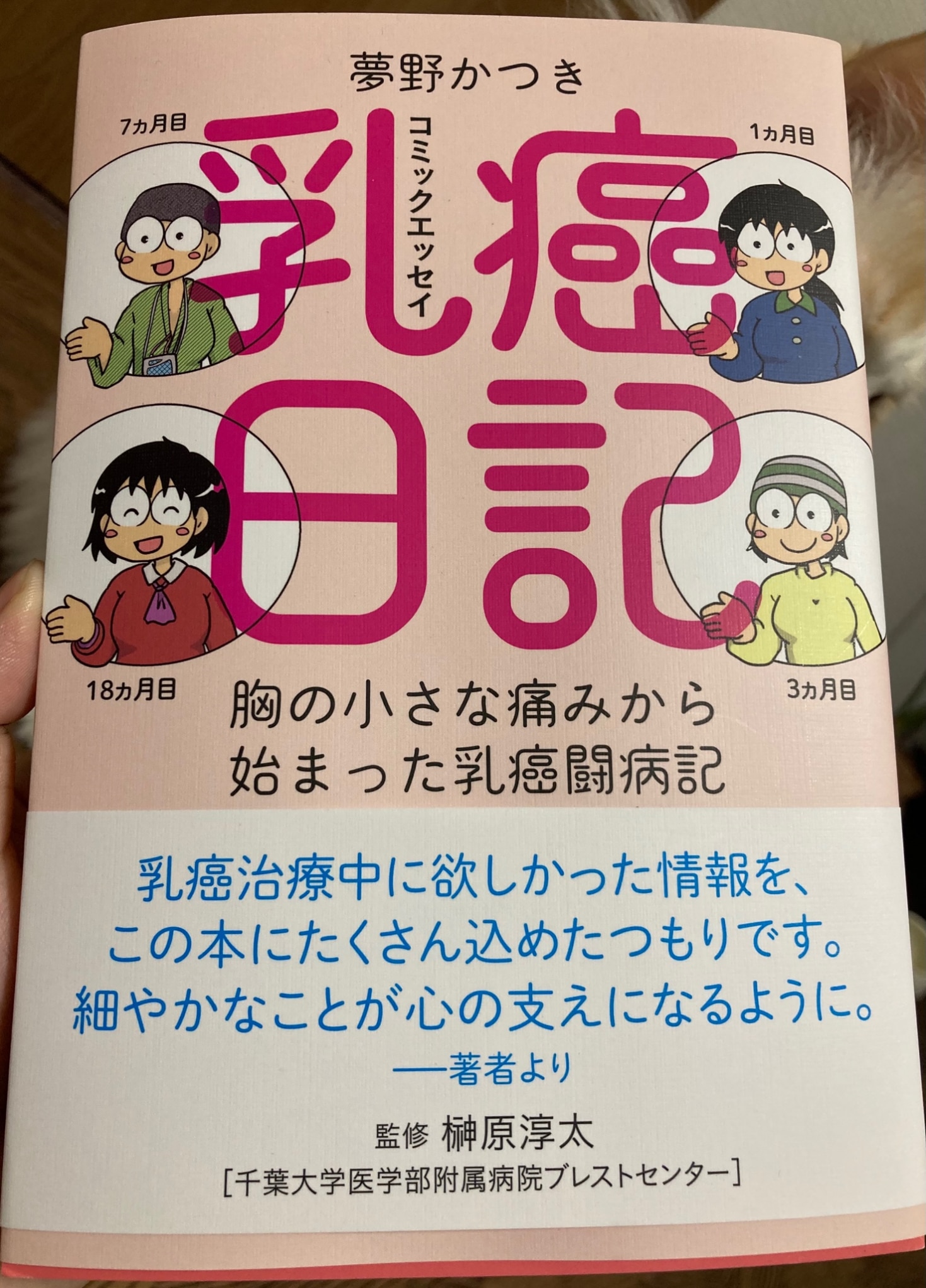 乳癌日記 胸の小さな痛みから始まった乳癌闘病記 コミックエッセイ