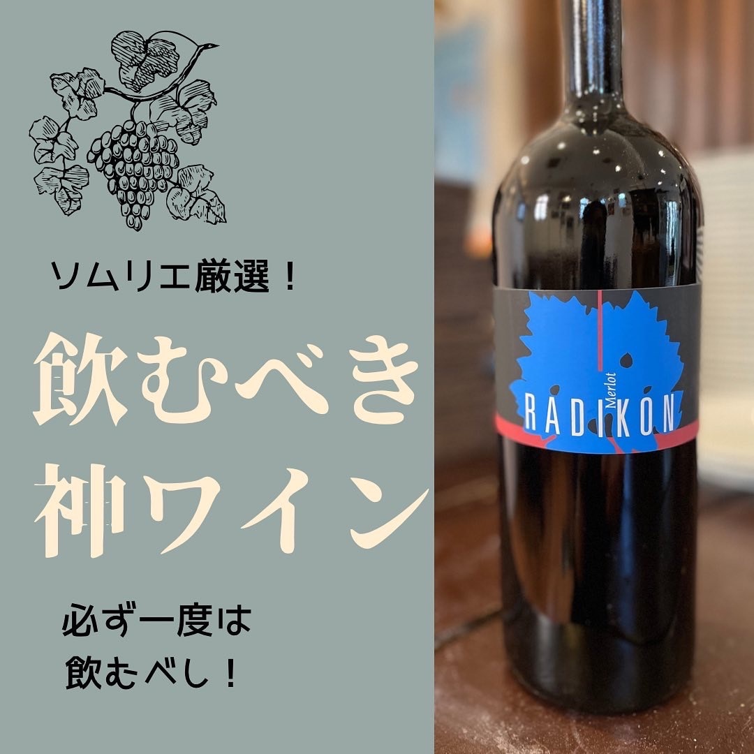 新作登場低価】 イタリア ラディコン メルロー2005 1000ml cCAiG