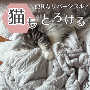 ROOM : 検索結果