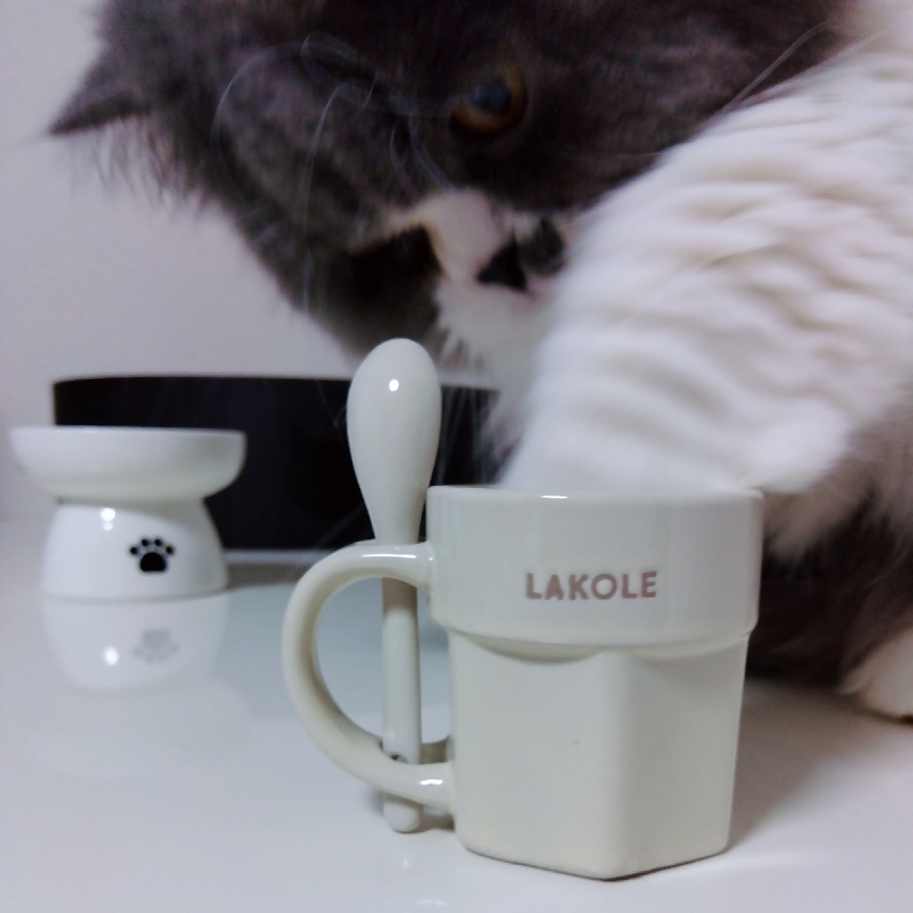 LAKOLE (U)CAFE-MUG S-re ラコレ 食器・調理器具・キッチン用品 その他