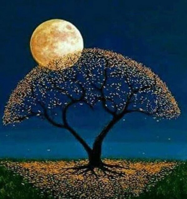 あなたに夢中 ジェリーマッケルロイのイラスト ダイヤモンドキット ダイヤモンド アート ビーズ キラキラ モダンアート モザイクアート パズルアート 趣味 絵画 カラービーズ ダイヤモンドビーズ ビーズアート ダイヤモンドペインティング 夜 夜空 おしゃれ デザイン