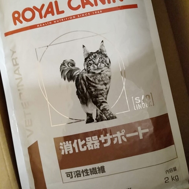 ロイヤルカナン 猫用 消化器サポート 可溶性繊維 ドライ(2kg