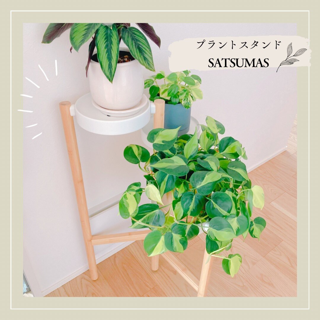 IKEA SATSUMAS サッツマス プラントスタンド 78cm - 植物/観葉植物