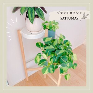 ROOM : 検索結果