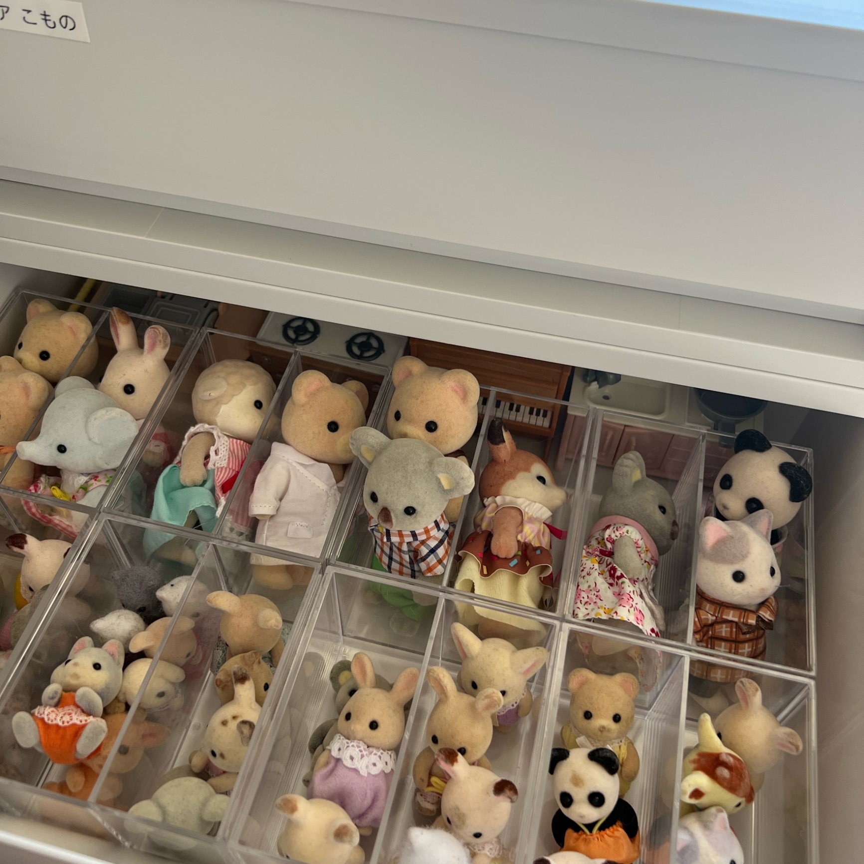 ROOM : 検索結果