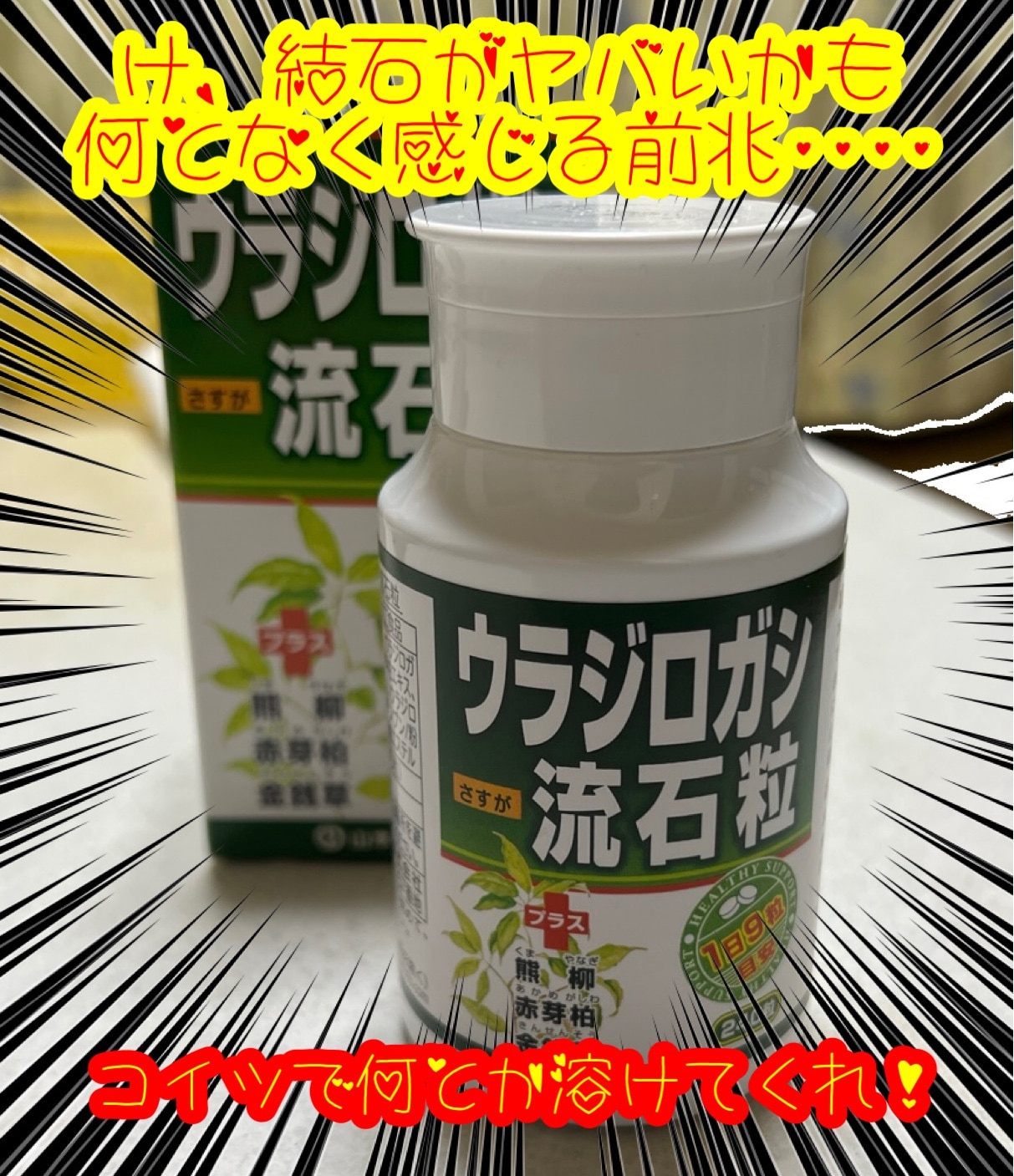 新春セール】山本漢方製薬 ウラジロガシ 流石粒 240粒