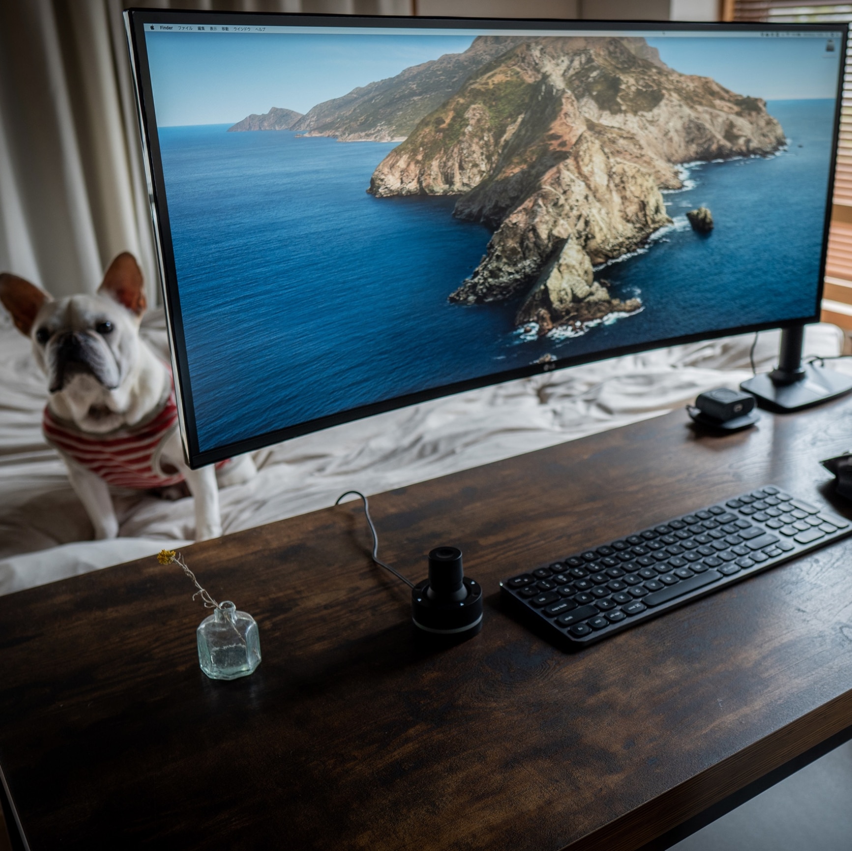 デスク (N ステイン 120) ニトリ 【玄関先迄納品】 【1年保証】 【期間