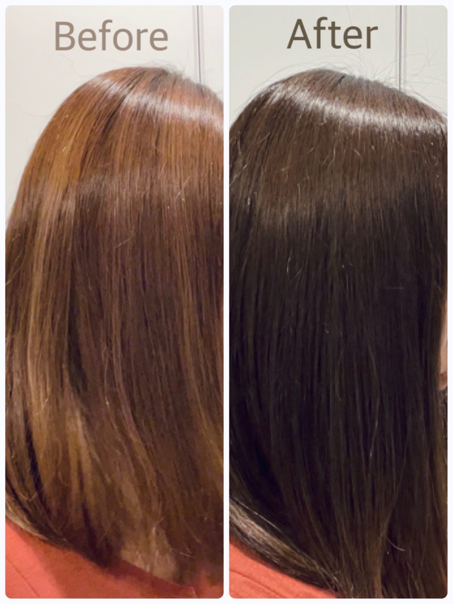 新品未使用 マニックパニック ＆ エンシェールズ カラーリング剤 ヘアケア コスメ・香水・美容 (税込)