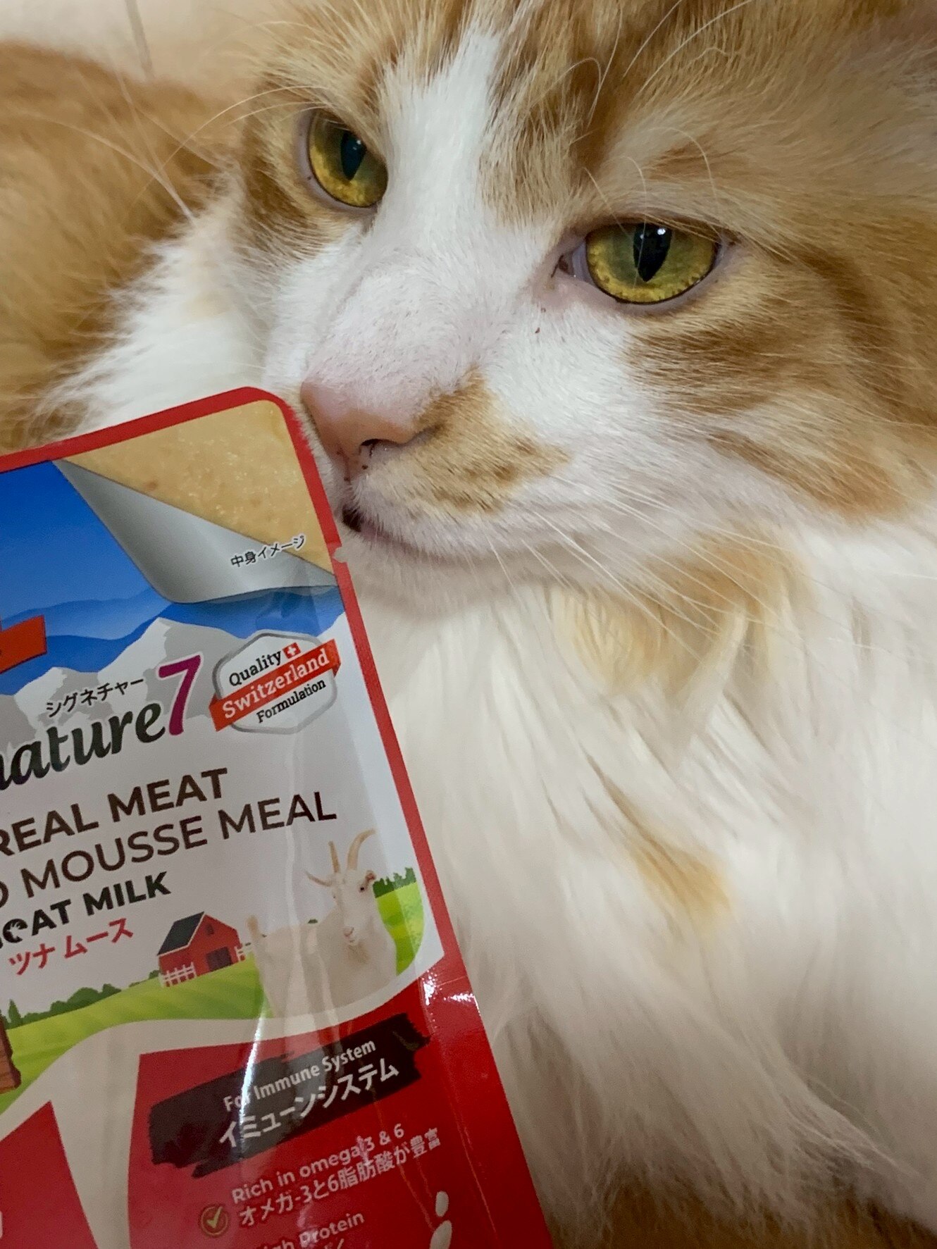 シグネチャー7 猫 キャット ゴートミルク ユリナリー ヘアボール イミューン 70g 1個 全年齢猫用 生後2ヶ月以上 なめる ウェット ...
