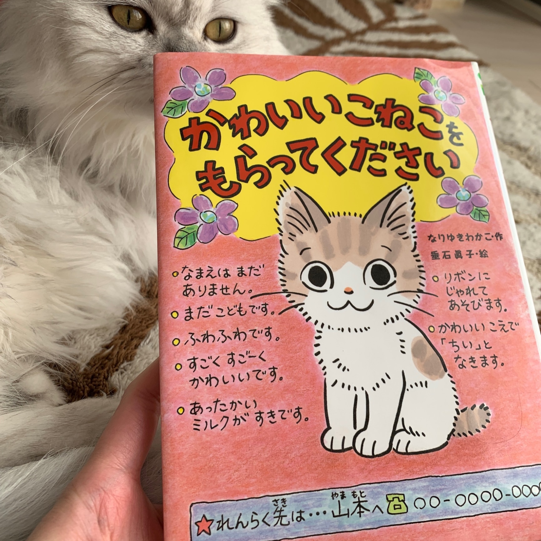 かわいいこねこをもらってください （ポプラちいさなおはなし 12 