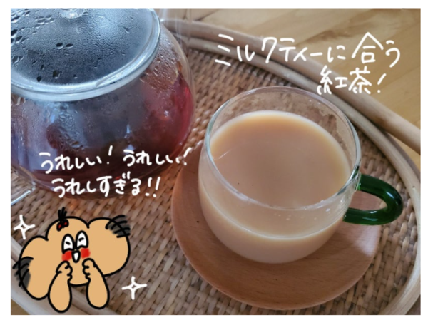 紅茶 茶葉 国産 和紅茶プレミアムミルクティーコレクション 雅紅茶 3