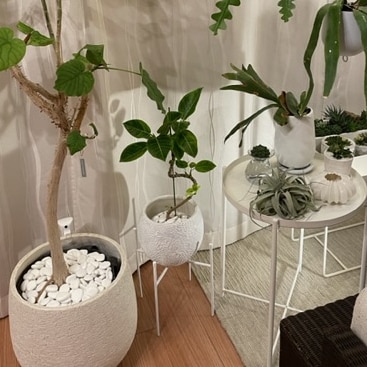 ポットカバー 花瓶 雑貨 ポット スタンド アイアン フラワースタンド プランタースタンド 花台 室内 おしゃれ インテリア 観葉植物 置き 台 棚 玄関 ポット スタンド アイアン」の人気商品一覧 | 安い商品を通販サイト