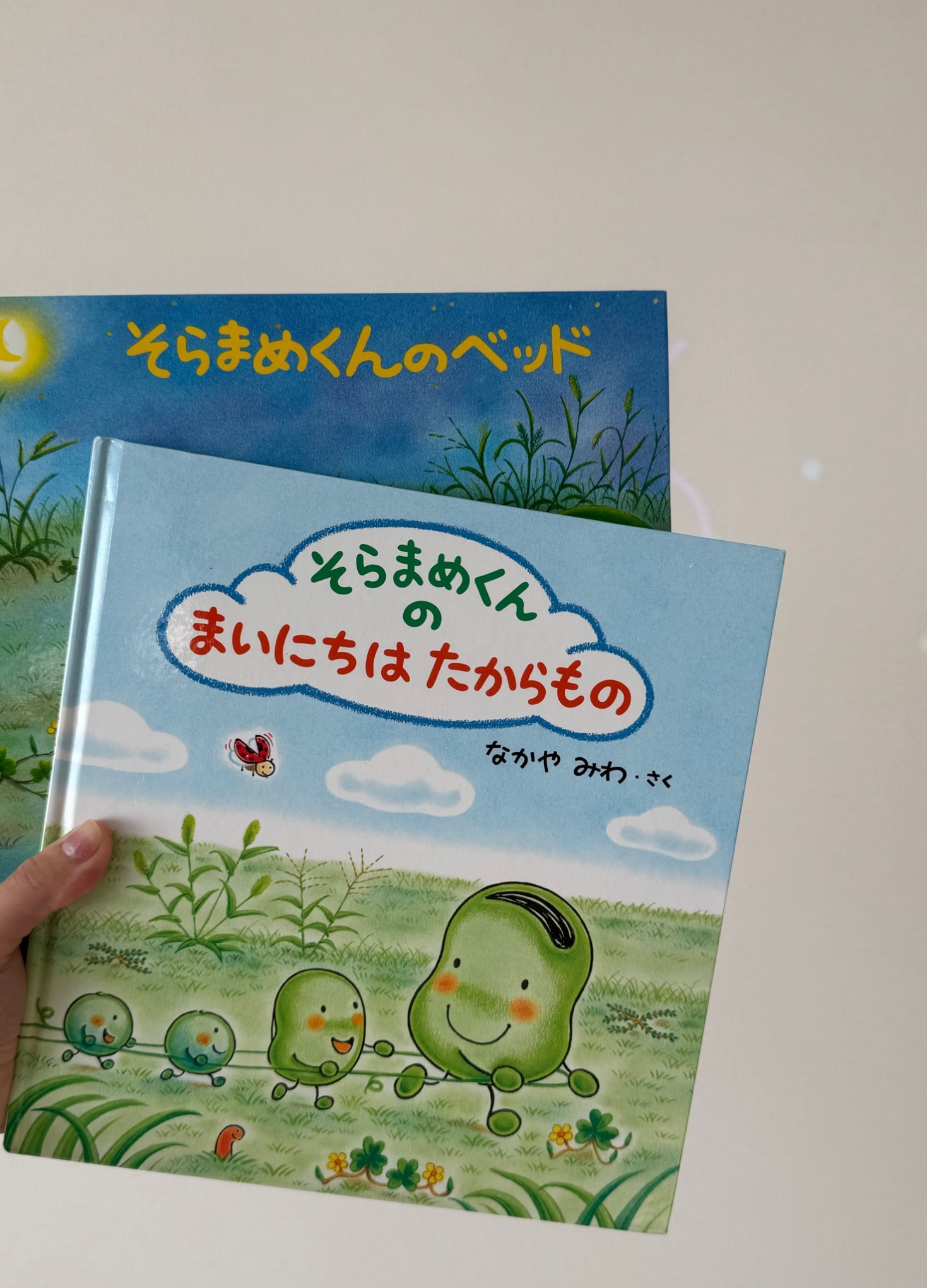 そらまめくんのまいにちはたからもの／なかやみわ【1000円以上送料無料】