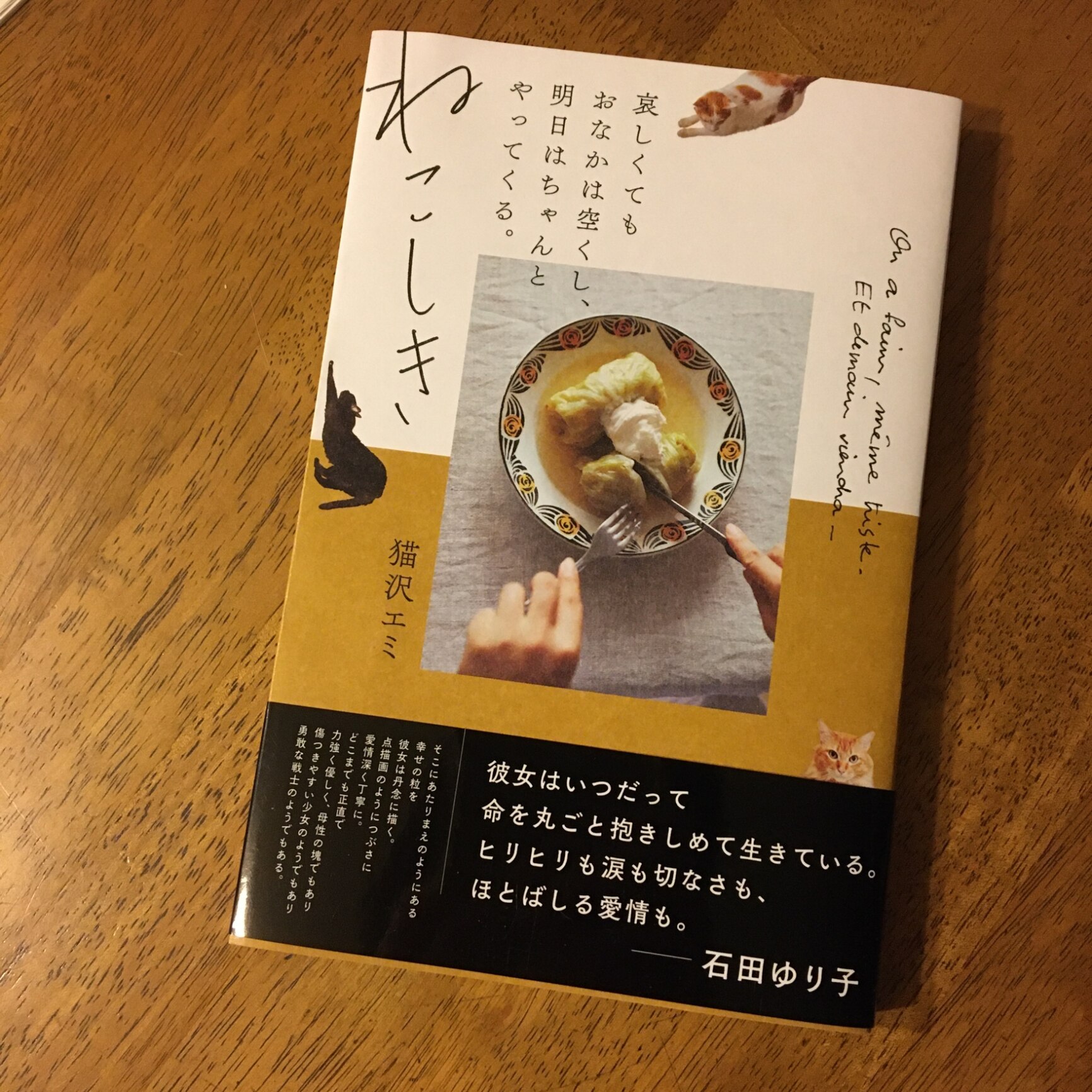 ねこしき 哀しくてもおなかは空くし 明日はちゃんとやってくる 猫沢 エミ