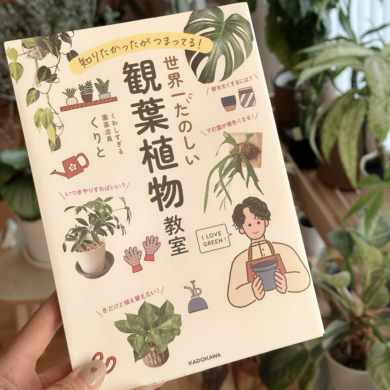 知りたかったがつまってる！ 世界一たのしい観葉植物教室 [ くりと ]