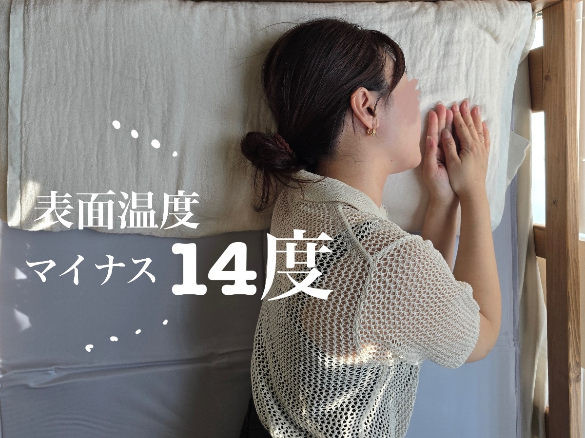 本日もれなくP5倍] 表面温度-14度の衝撃 特許取得 ひんやりマット 冷感