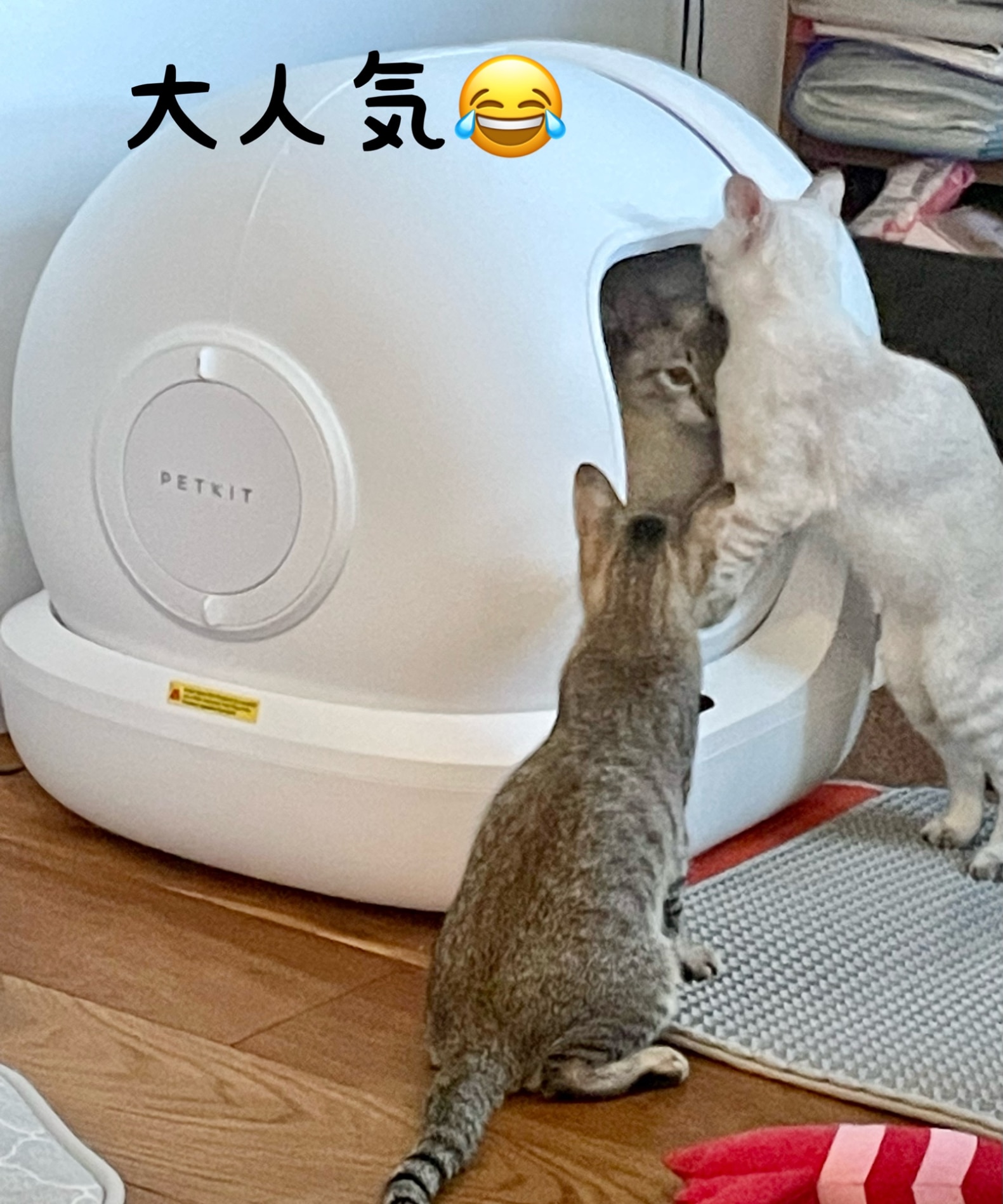 PETKIT 全自動猫トイレ PURA MAX ペットキット ネコトイレ - その他