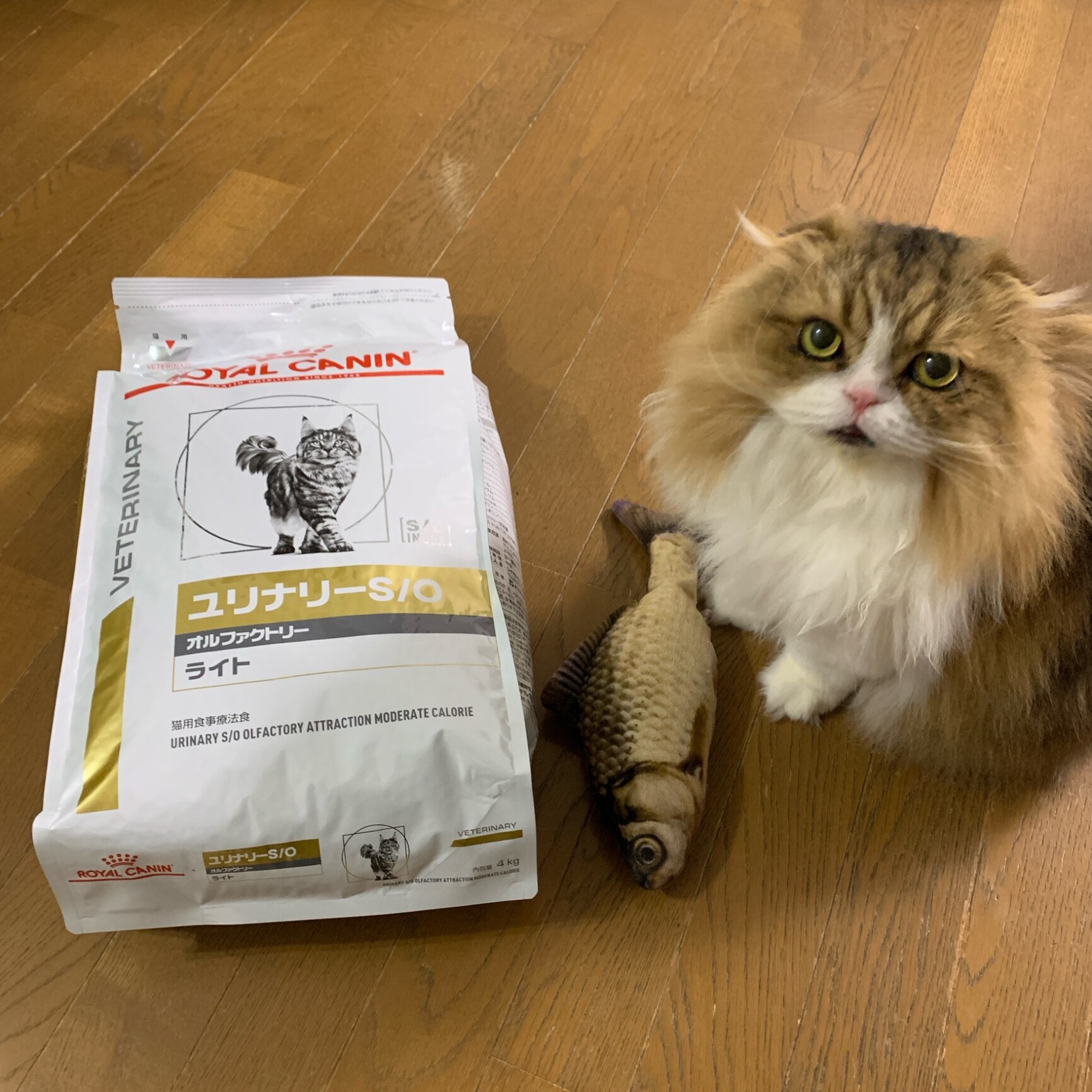ロイヤルカナン ユリナリーSOライト 4Kg猫 【公式通販】 ROYAL CANIN