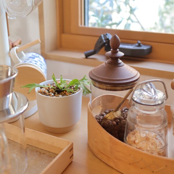 クーポン利用で10％OFF】＼高評価☆4.9／即日出荷 キャニスター 木の蓋 