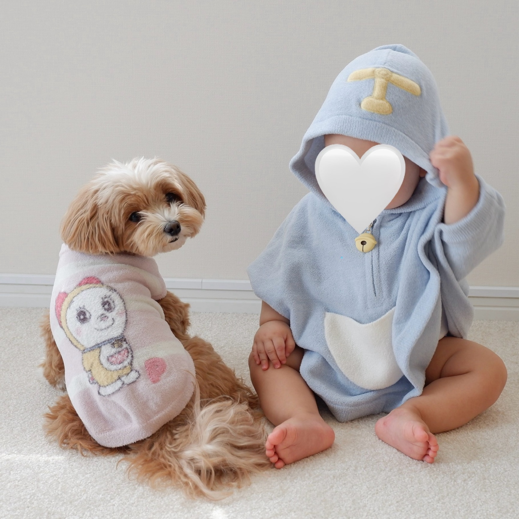 マルプー🐶ちゃちゃまる のROOM - 欲しい! に出会える。