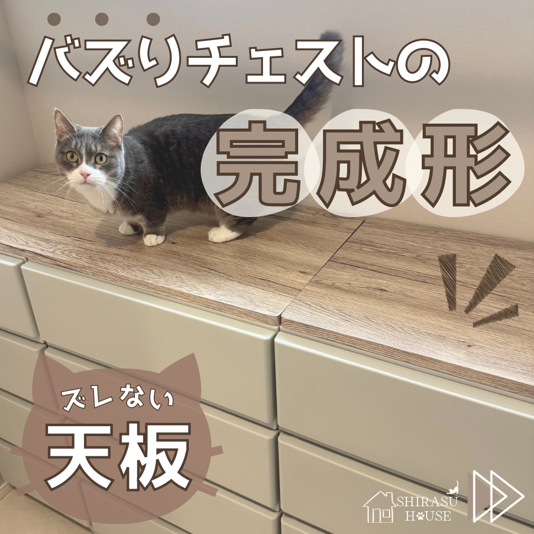 ROOM : 検索結果