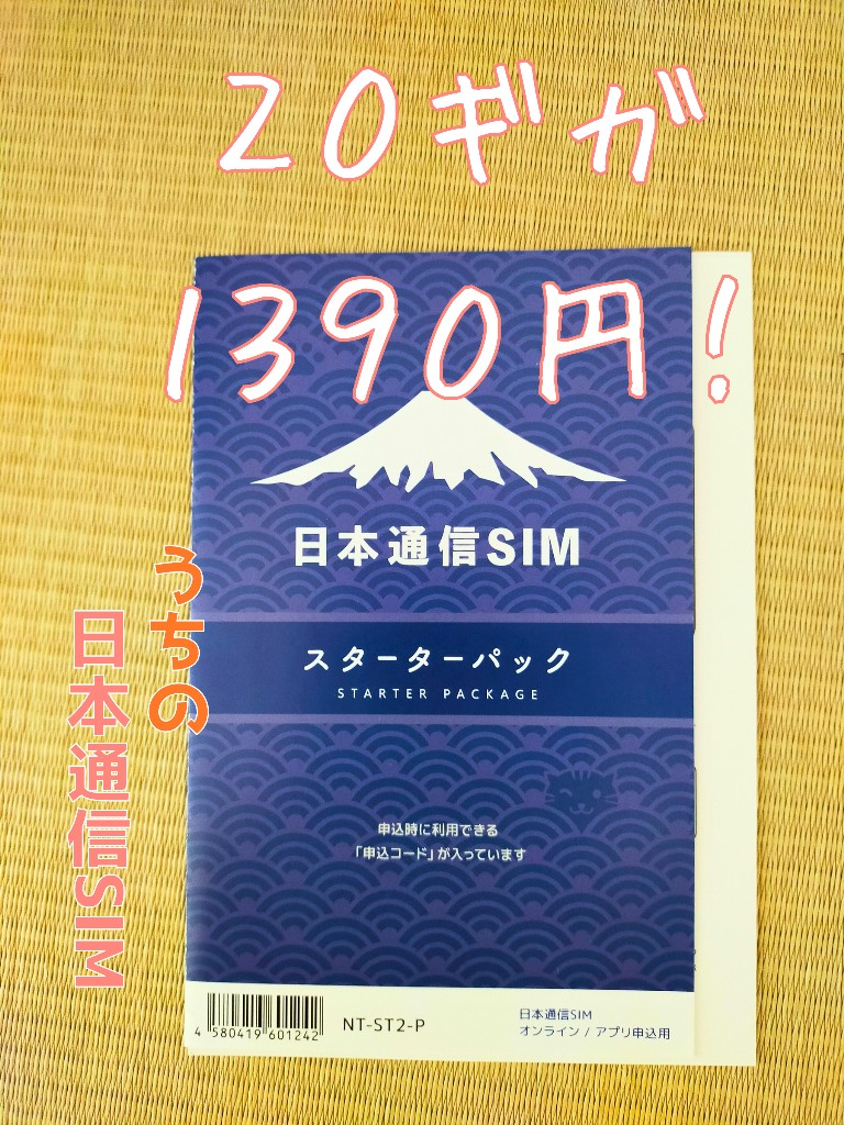 日本通信SIMNT-ST2-P[NTST2P]日本通信SIM スターターパックドコモネットワーク[4580419601242]