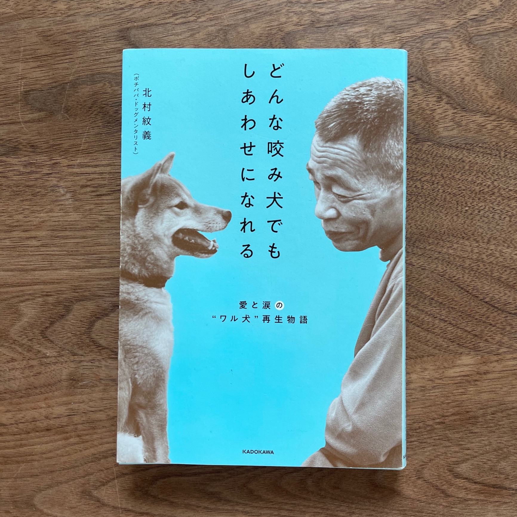 目玉 送料無料 オススメ どんな咬み犬でもしあわせになれる 愛と涙の ワル犬 再生物語 安心の定価販売