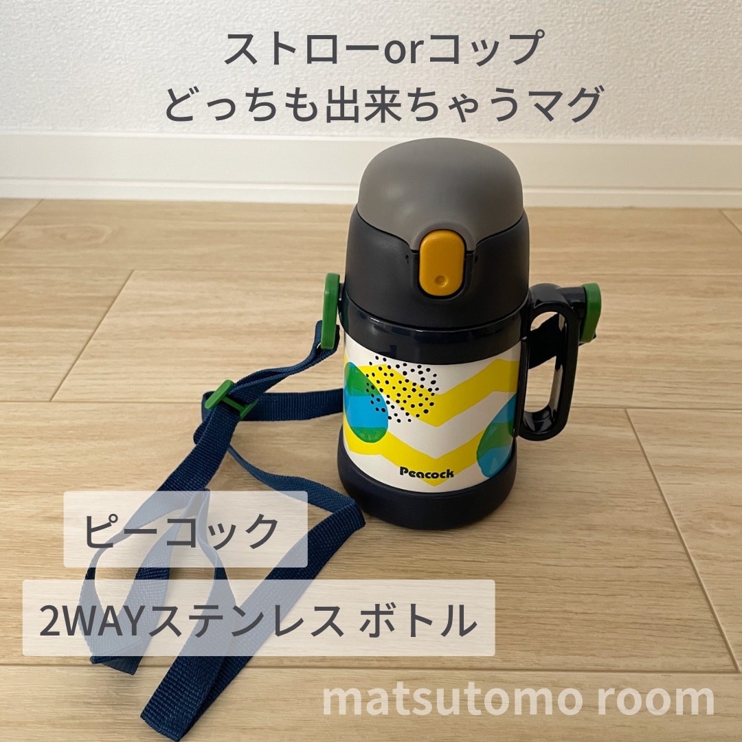 コレクション 水筒 マグ ストロー どっち