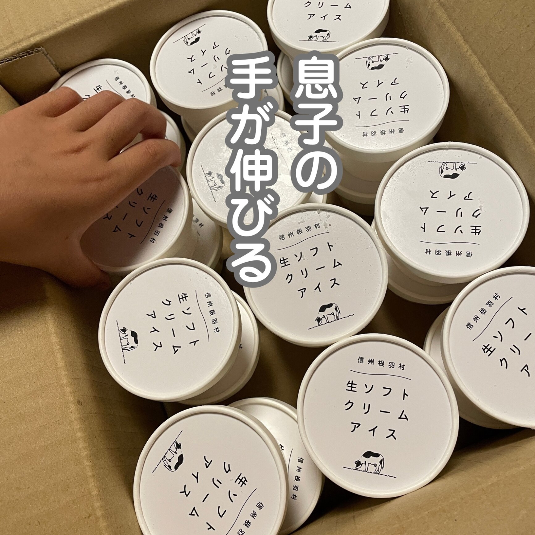 純国産ビスケット(120g)【ノースカラーズ】