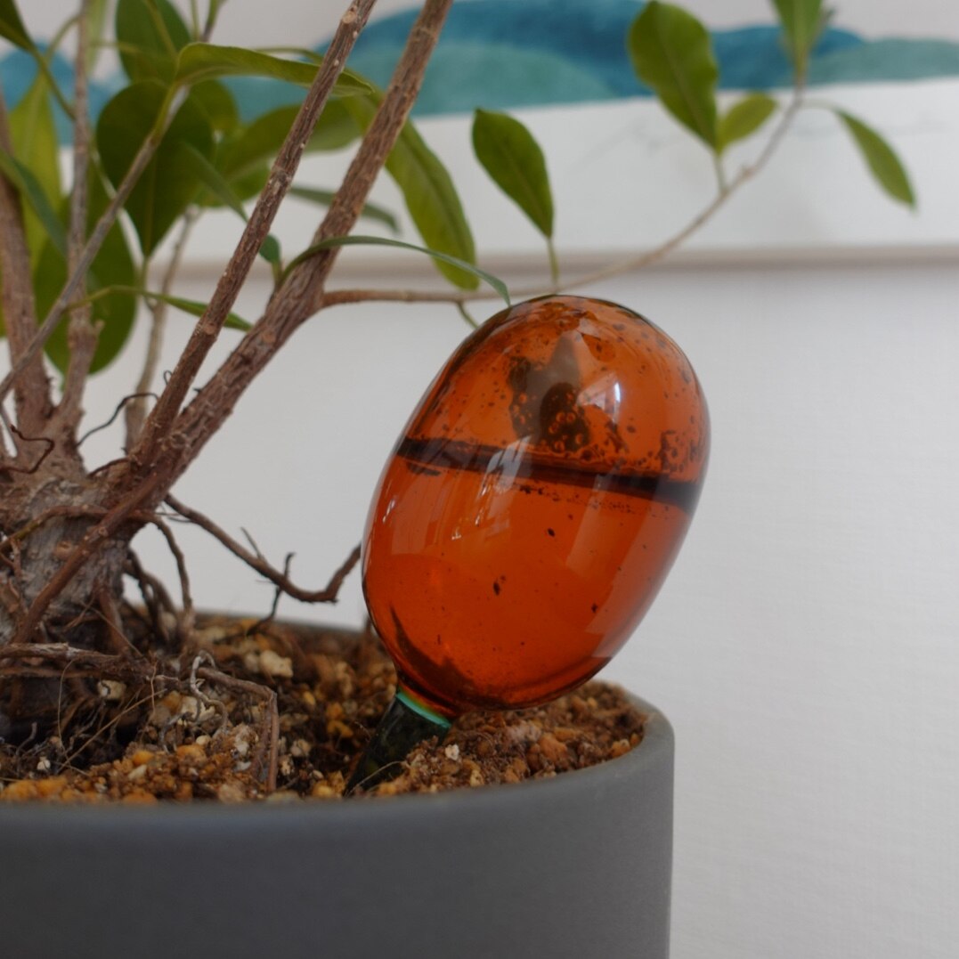 自動給水器 アマブロ amabro TWO TONE WATER DISPENSER S 園芸 鉢植え 観葉植物 水やり 自動 水やり器 水やり機 水差し 60cc ディスペンサー ガーデニング おしゃれ かわいい ガラス製 ツートンカラー 吸水 液体肥料 多肉植物 留守用 室内 小型 便利 ギフト