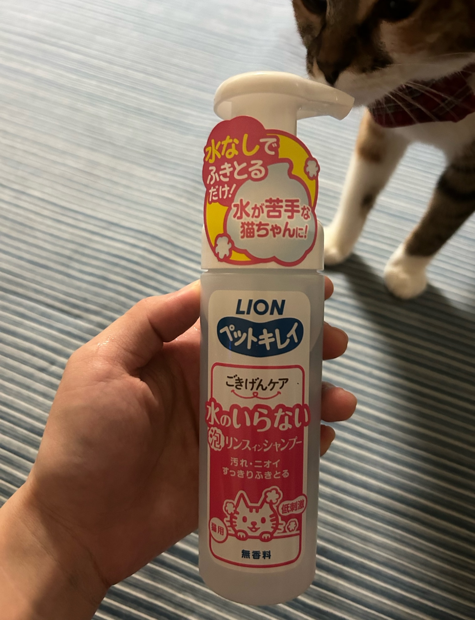桃🍑楽天セール♡購入感謝です♡ のROOM - 欲しい! に出会える。