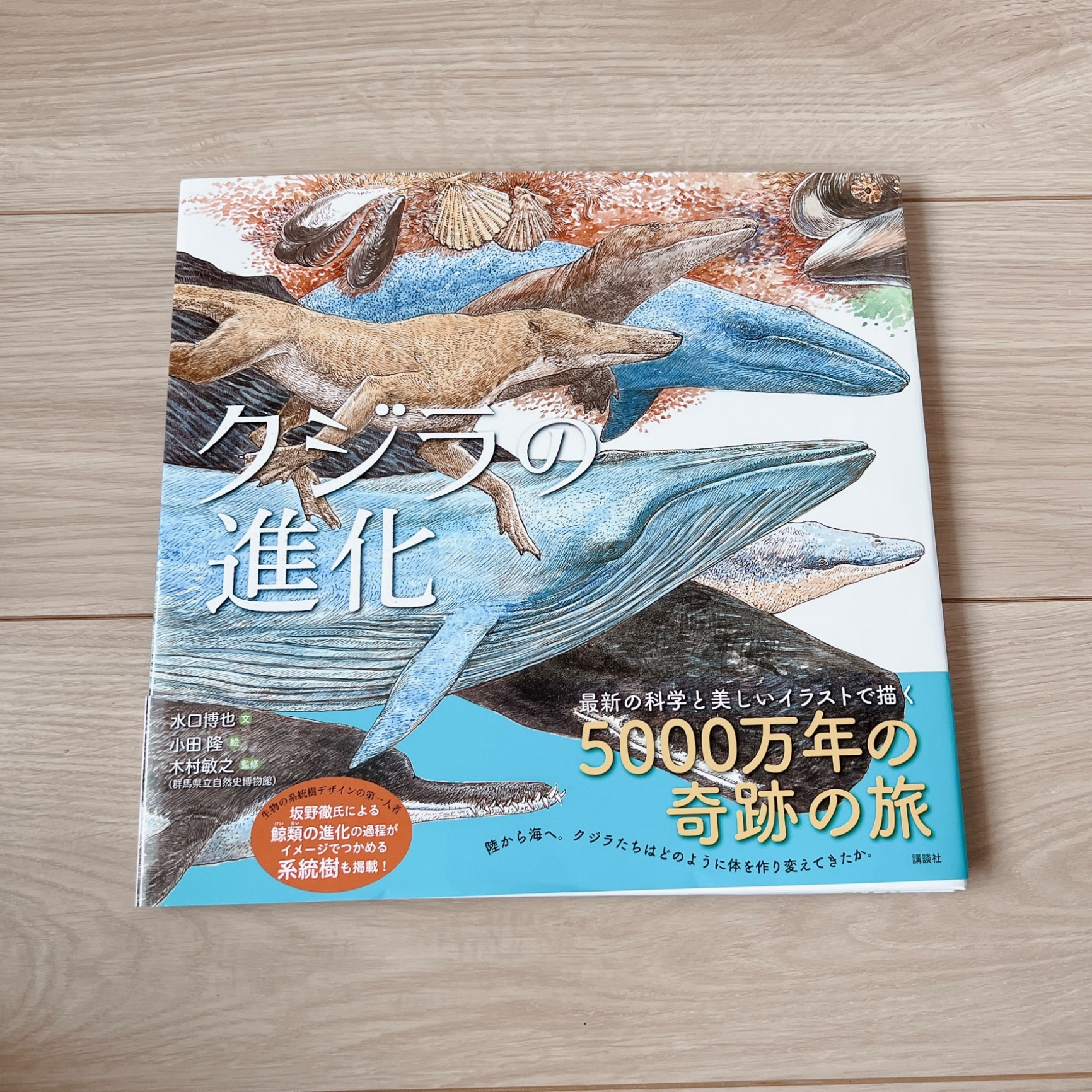 クジラの進化 （講談社の創作絵本） [ 水口 博也 ]