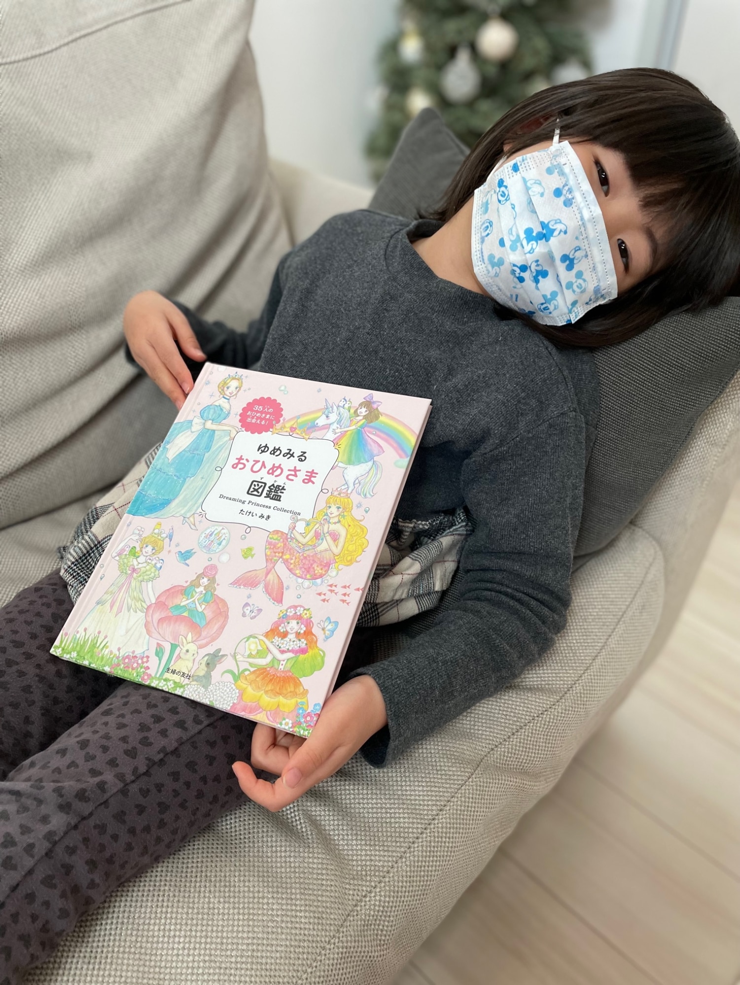 ゆめみる おひめさま図鑑 [ たけいみき ]