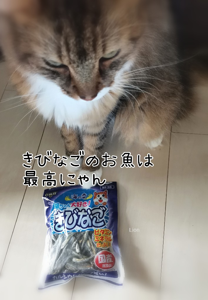 くいしんぼ 海の幸 きびなご 猫用 100g 森光商店 [カルシウム ビタミン ミネラル キャットフード]