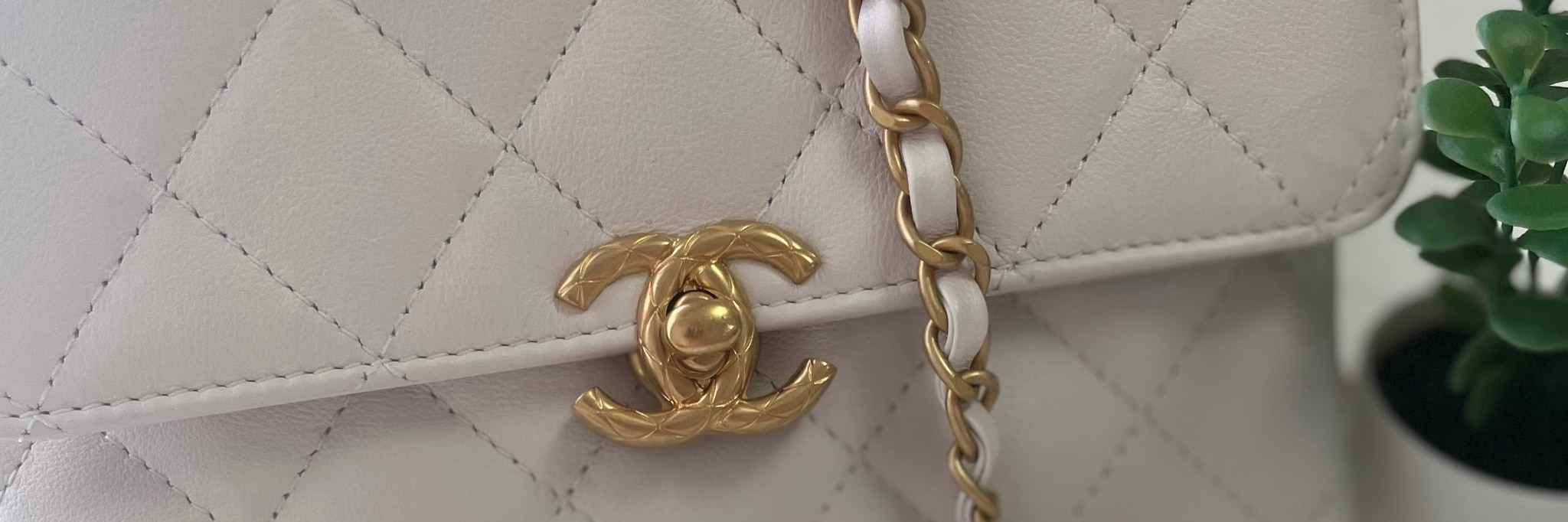 coa®︎a💋 のROOM - 欲しい! に出会える。