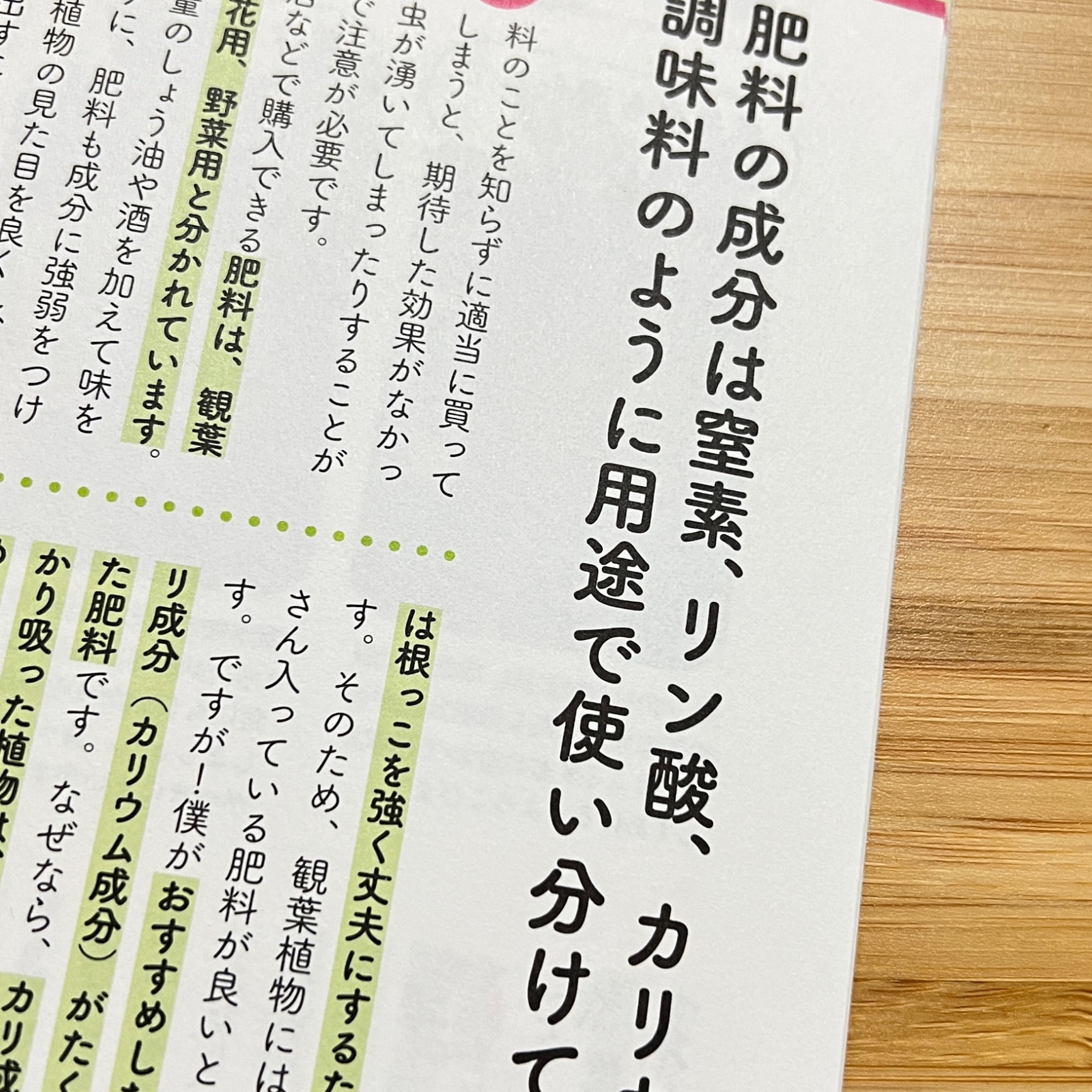 知りたかったがつまってる！ 世界一たのしい観葉植物教室 [ くりと ]