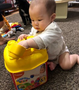 やわらかブロック 基本セットボックス カーサリッチ イタリア生まれの赤ちゃんに優しいやわらかい素材のブロック Room 欲しい に出会える