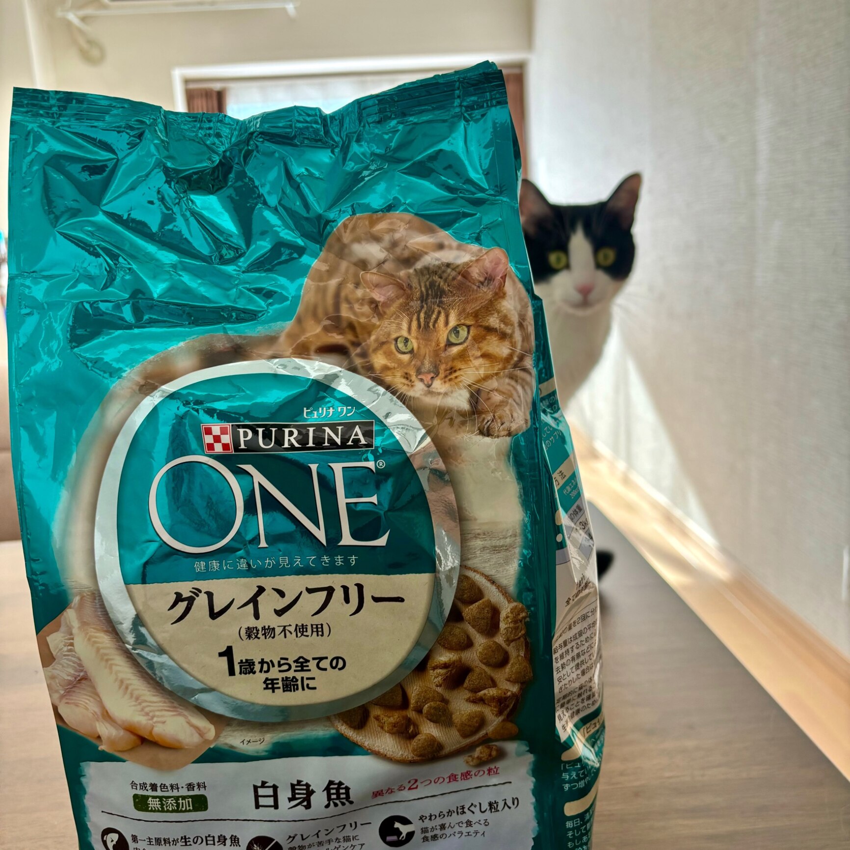 ピュリナワンキャット 1歳から全ての年齢に グレインフリー白身魚 1.6Kg×6 キャットフード