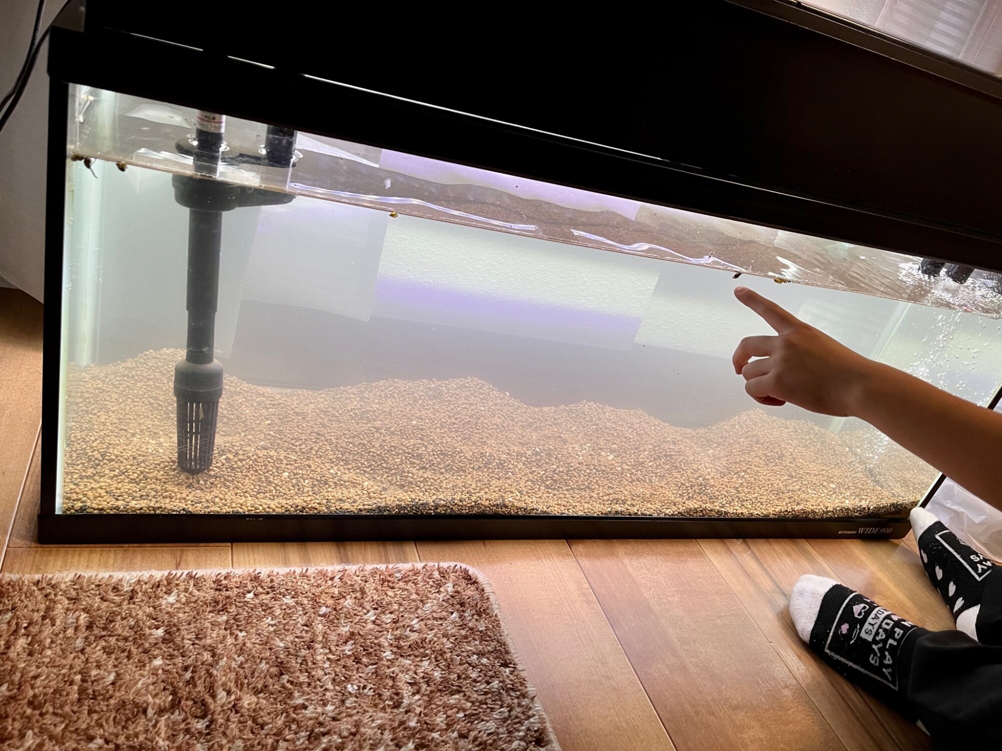 90ワイド水槽 新品 コトブキ工芸 90cm水槽 ワイド900（90×30×36cm）（単体