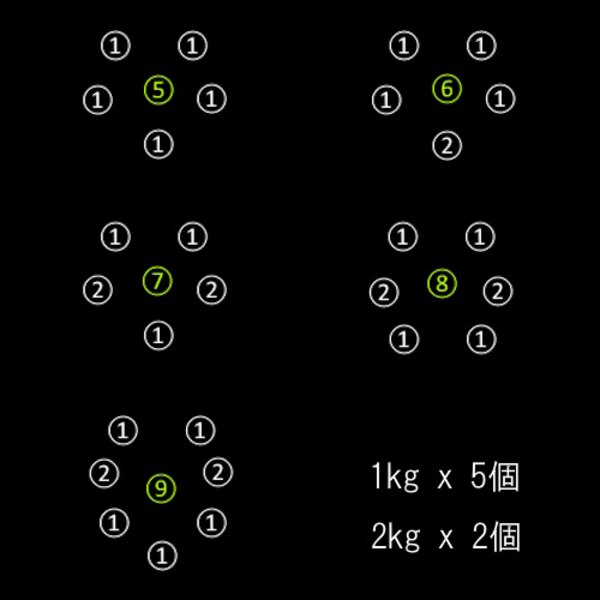 ウェイトおもり 1kg ダイビング・素潜り用
