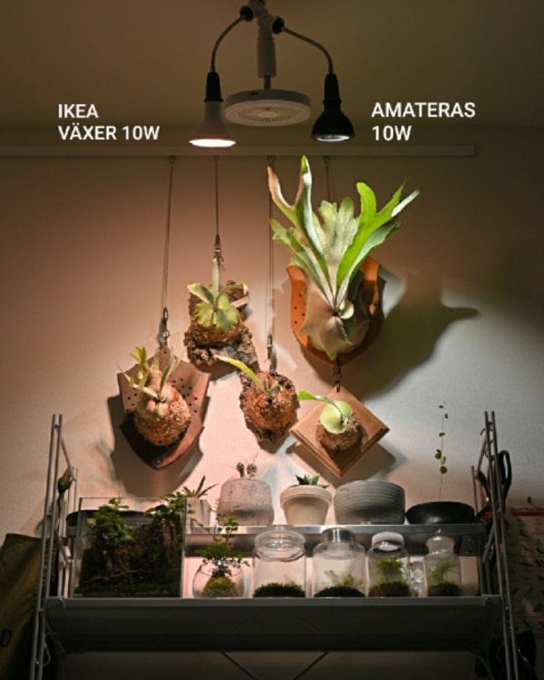 3年保証】BARREL公式 植物育成LEDライト【AMATERAS-10W 3年保証】BARREL公式 植物育成LEDライト【AMATERAS-10W