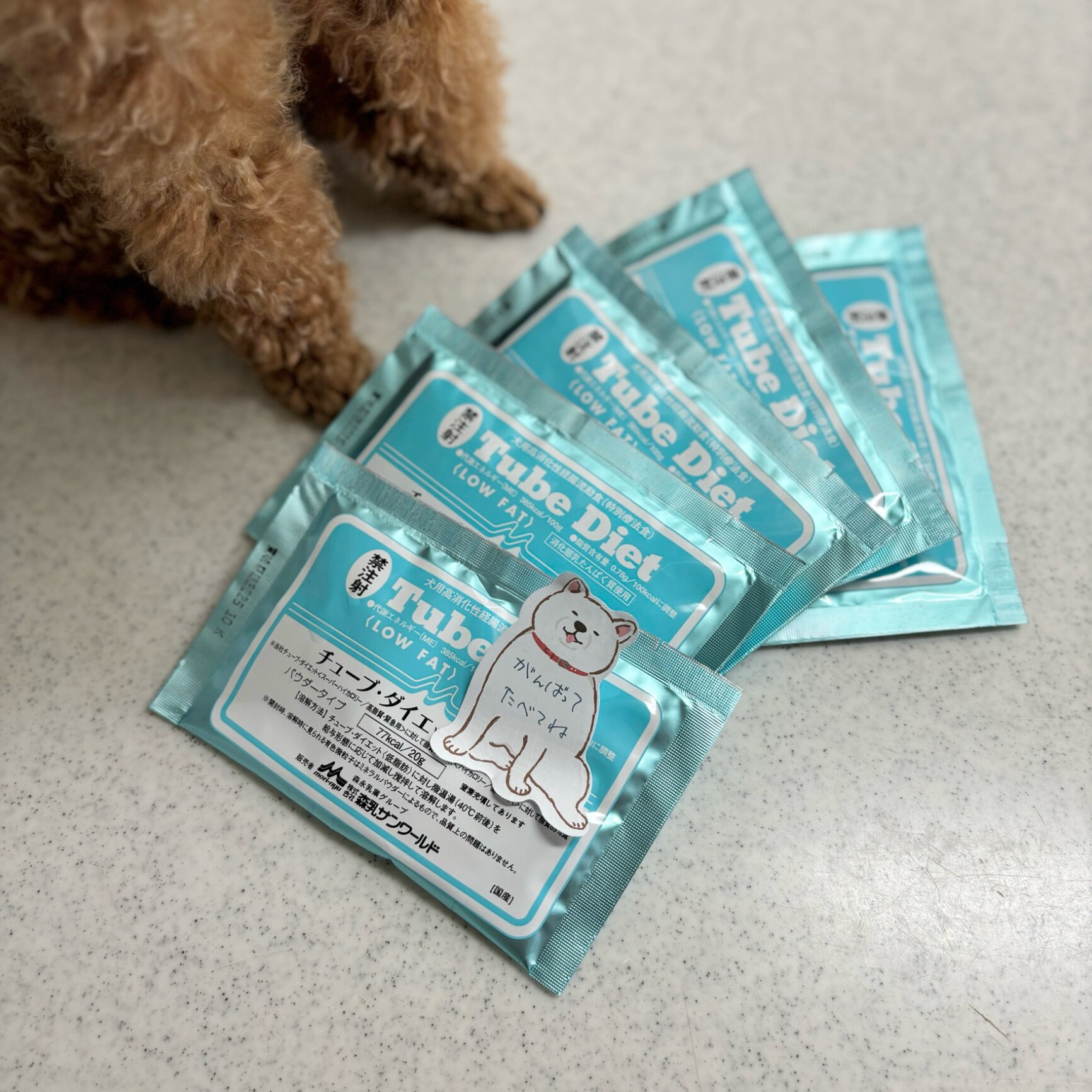 森乳サンワールド チューブダイエット 犬用 低脂肪 20g×5包 送料