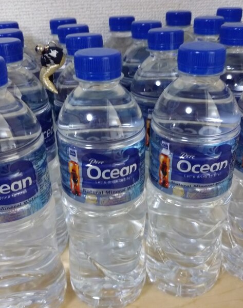 ミネラルウォーター Pere Ocean(500ml*48本セット)