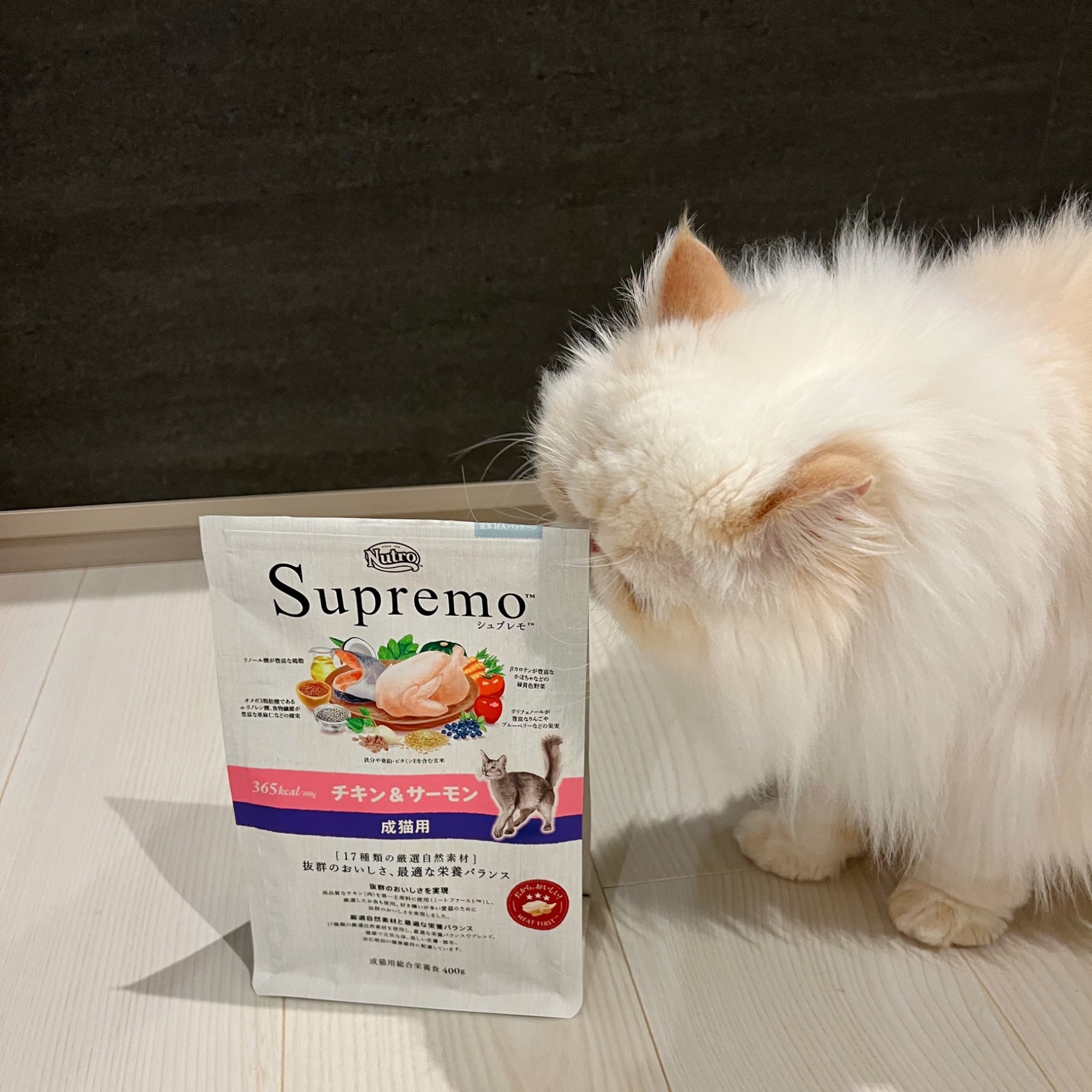 ニュートロ シュプレモ 成猫用 チキン＆サーモン 400g入3袋セット