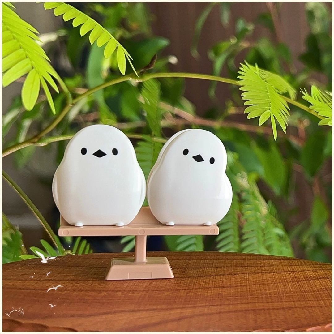 サンタマリアノヴェッラ 【Santa Maria Novella】 ソープ