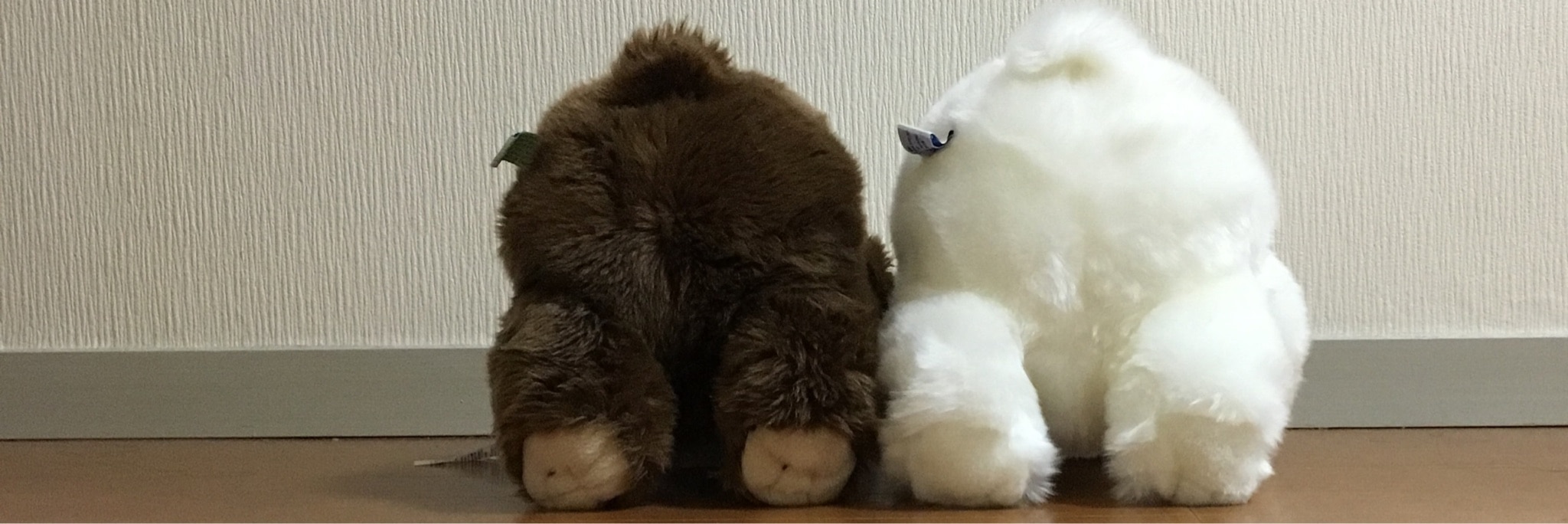 しろくま のroom 欲しい に出会える